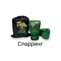 Спарринг
