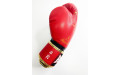 Боксерские перчатки Raja Snake red 16 oz