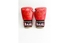 Боксерские перчатки Raja Snake red 10 oz