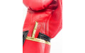 Боксерские перчатки Raja Snake red 10 oz