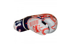 Боксерские перчатки Twins Special FBGVL4-67 Yant 12 oz