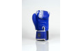 Боксерские перчатки TWINS Special FBGVL3-49 blue 12 oz