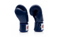 Боксерские перчатки BGV1 blue 12 oz