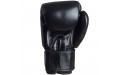 Боксерские перчатки BGV1 black 12 oz