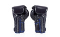 Боксерские перчатки BGV6 blue 10 oz