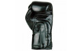 Боксерские перчатки BGV6 black 12 oz