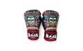 Боксёрские перчатки Raja Fancy Geisha 12 oz