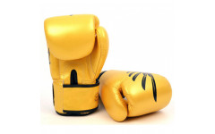 Боксерские перчатки Fairtex BGV1 Falcon 16 oz
