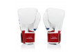 Боксерские перчатки Fairtex BGV1 Thai PriDe 10 oz