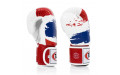 Боксерские перчатки Fairtex BGV1 Thai PriDe 14 oz