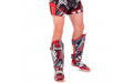 Защита голени Twins Special FSGL10-55 Demon M