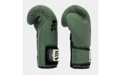 Боксерские перчатки Fairtex BGV11 F-DaY 10 oz