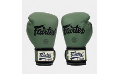 Боксерские перчатки Fairtex BGV11 F-DaY 12 oz