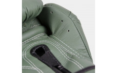 Боксерские перчатки Fairtex BGV11 F-DaY 12 oz