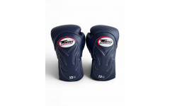 Боксерские перчатки Twins Special BGVL6 Navy/Navy 16 oz