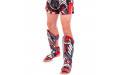 Защита голени Twins Special FSGL10-55 Demon XL