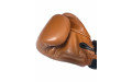Боксерские перчатки Twins Special BGVL3 brown 10 oz