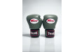 Боксерские перчатки Twins Special BGVL3 Olive 10 oz