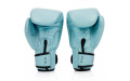 Боксерские перчатки Fairtex BGV20 light blue 10 oz