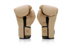 Боксерские перчатки Fairtex BGV25 F-DaY2 14 oz