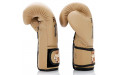 Боксерские перчатки Fairtex BGV25 F-DaY2 14 oz