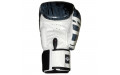 Боксерские перчатки FBGVL3-TW5 black white 12 oz