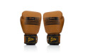 Боксерские перчатки Fairtex BGV21 LEGACY 16 oz