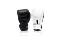 Боксерские премиальные перчатки Fairtex BGV24 10 oz