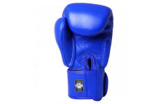 Боксерские перчатки Twins Special BGVL3 blue 10 oz