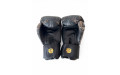 Боксёрские перчатки Raja Gold Dragon 16 oz