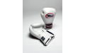 Боксерские перчатки Twins Special BGVL3 white 14 oz