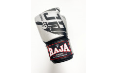Боксерские перчатки Raja model 3 silver 12 oz